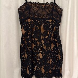 MAJORELLE Black and Tan Lace Detail Mini Dress